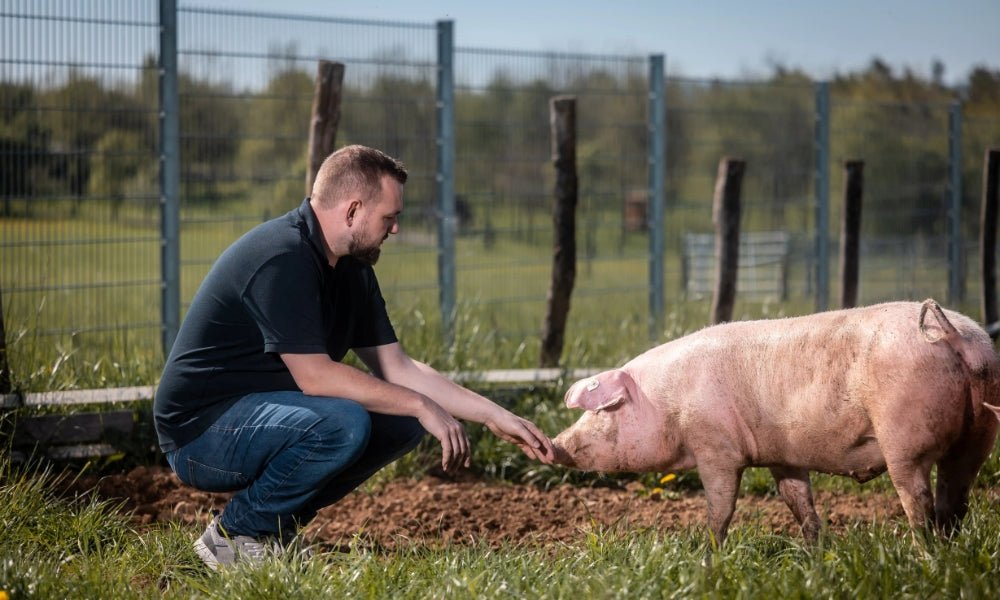 Schwein - vonschelkle